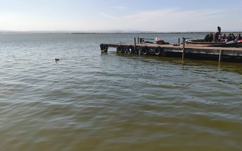 Vistas de la Albufera de Valencia en Invierno